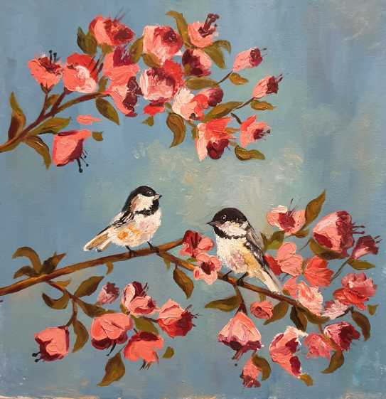 Birds