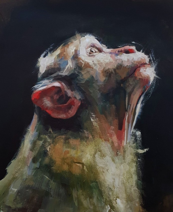 The Monkey