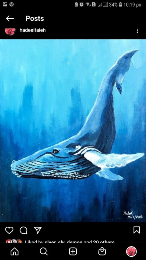 Ocean Whale