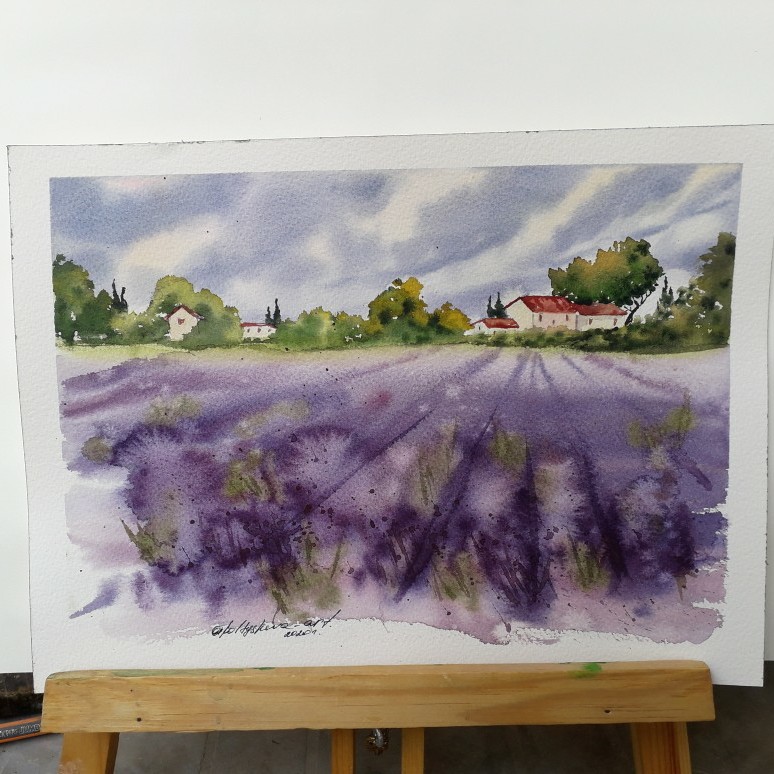 Lavender Fields In Provence