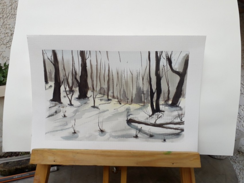 Winter Forest