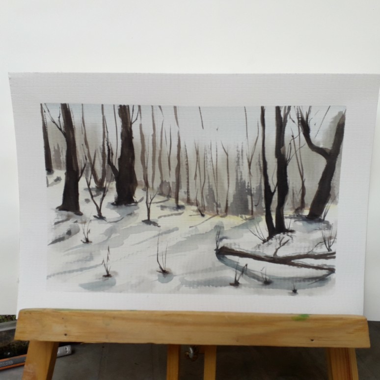 Winter Forest