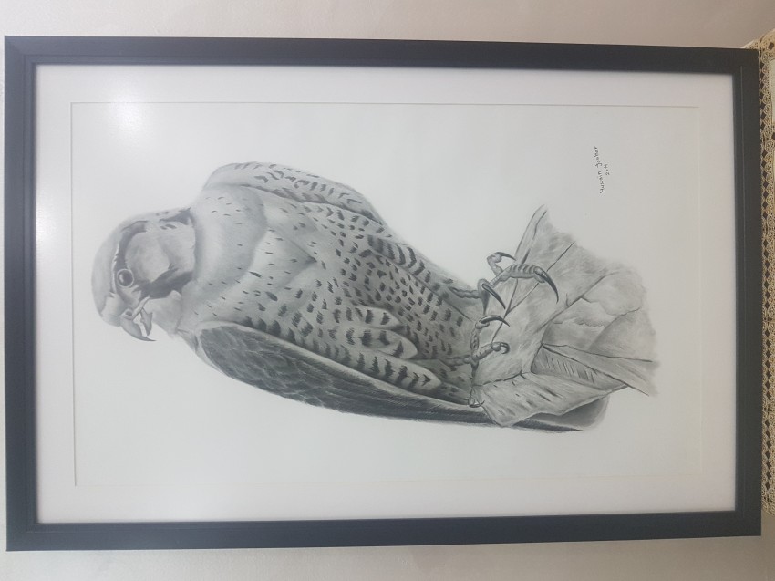 Falcon