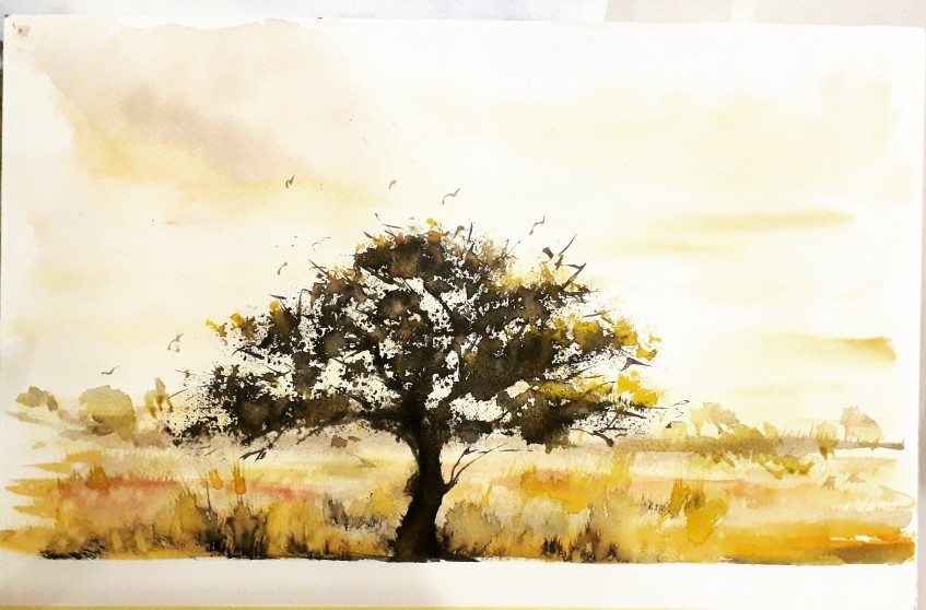 Africa