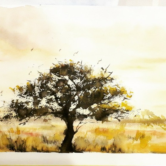 Africa