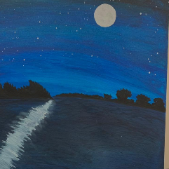 Moonlit Night