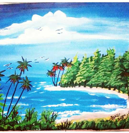 Summer Trip