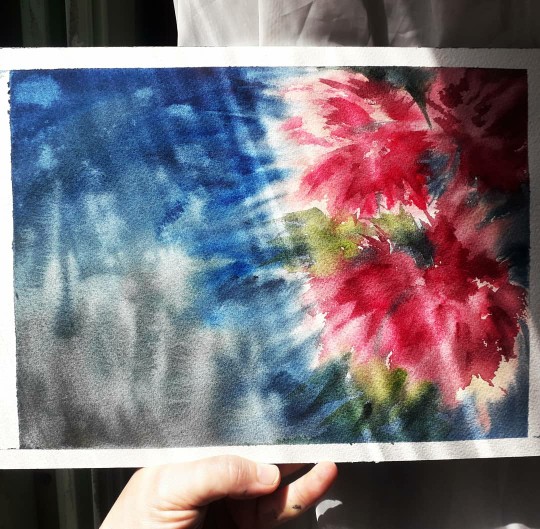 Morning Peony