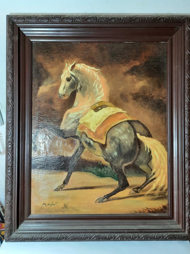 A Horse