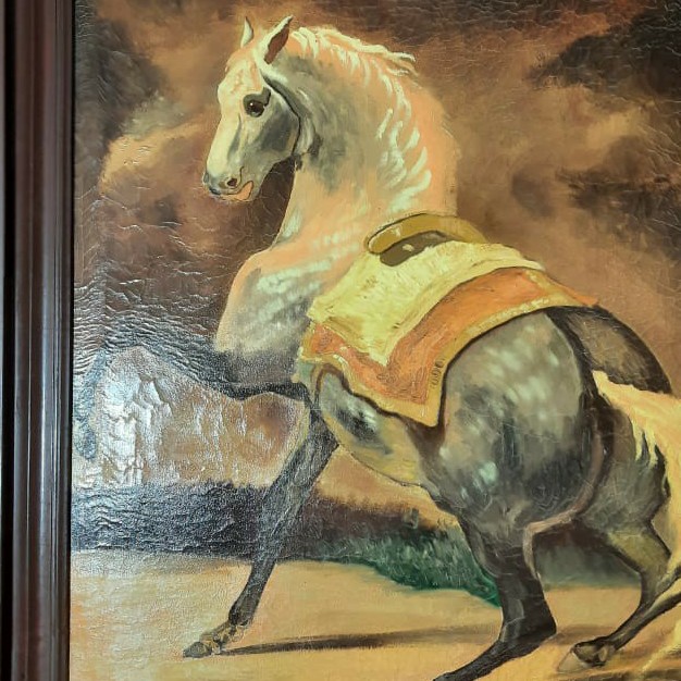 A Horse