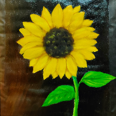 Sun Flower