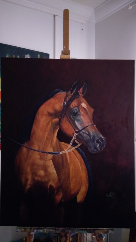 الخيل العربي