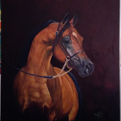 الخيل العربي