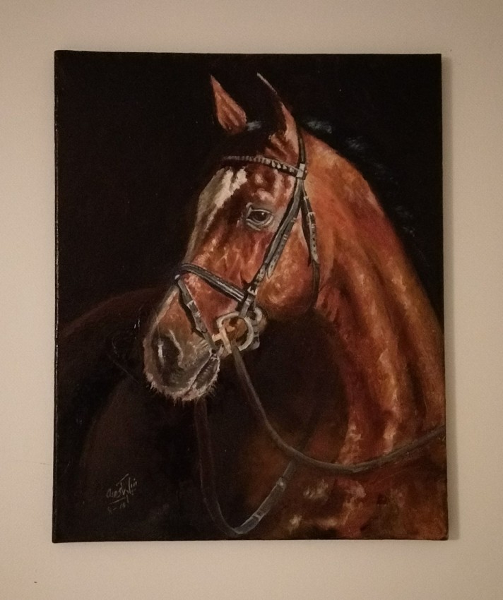 الخيل العربي