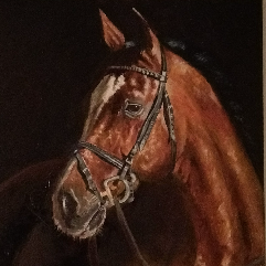 الخيل العربي