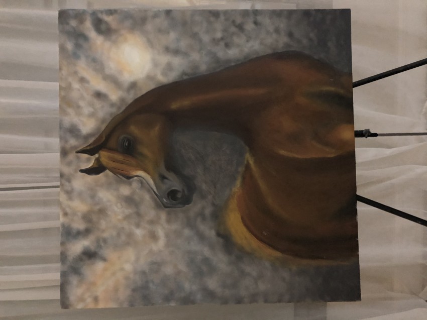 الخيل العربي