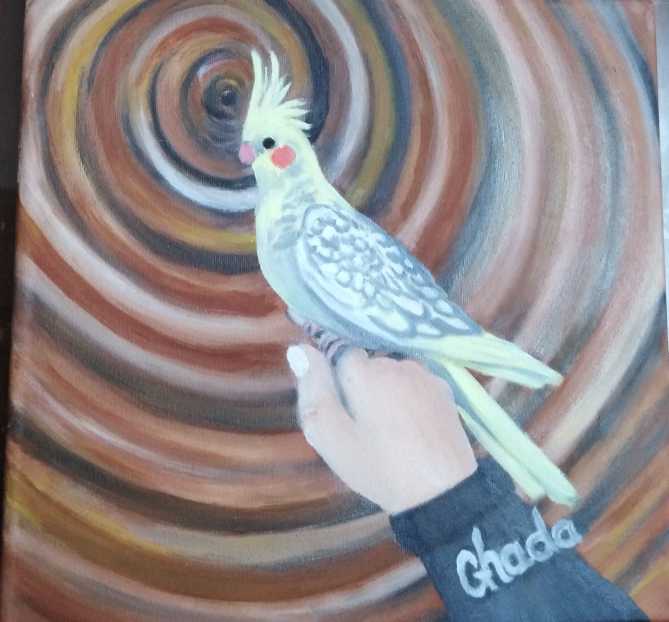 My Lovely Bird