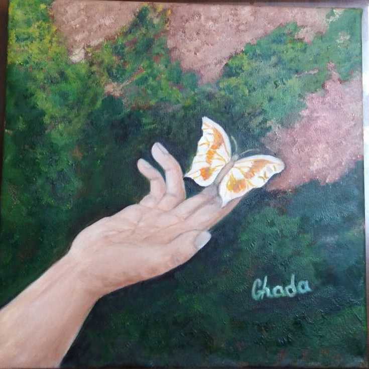 فراشة