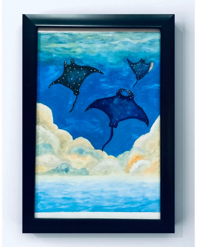 Manta Ray