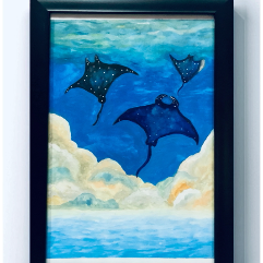Manta Ray