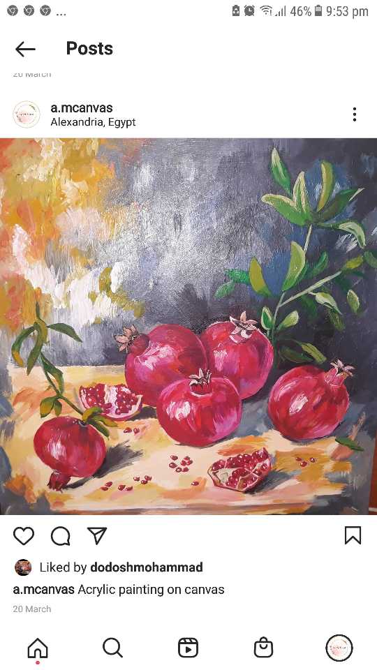 Pomegranate Love