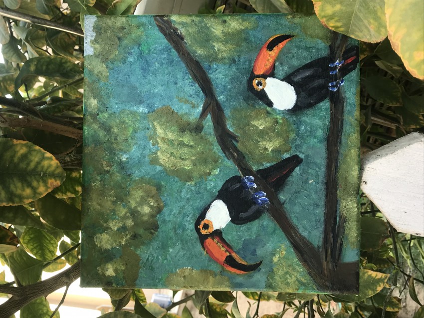 Toucan