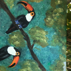 Toucan