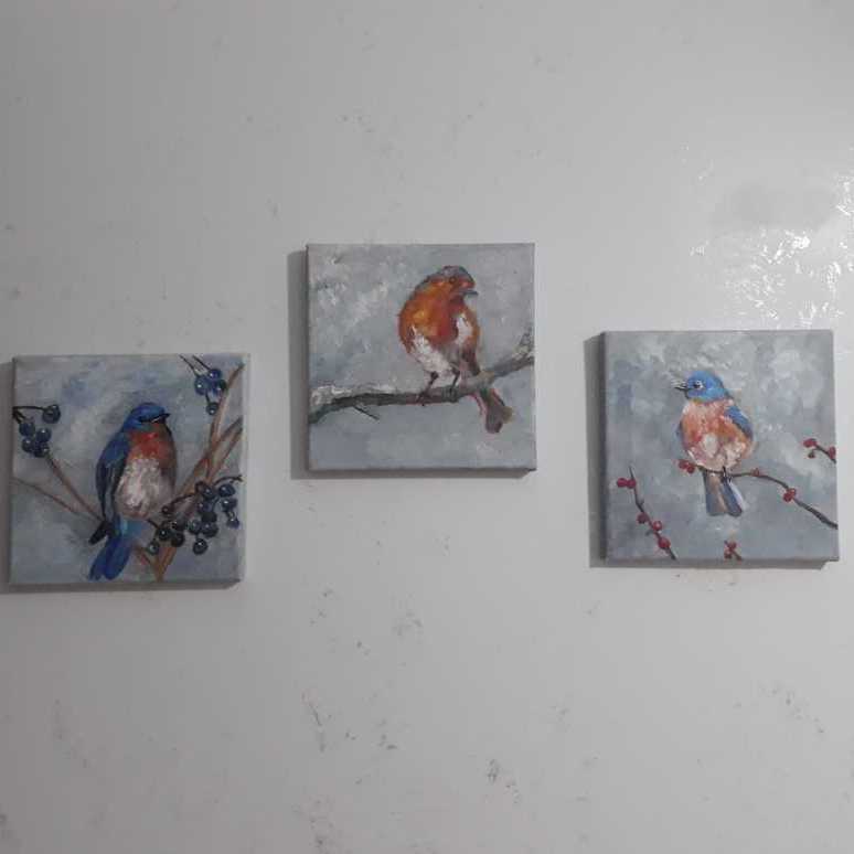 Birds