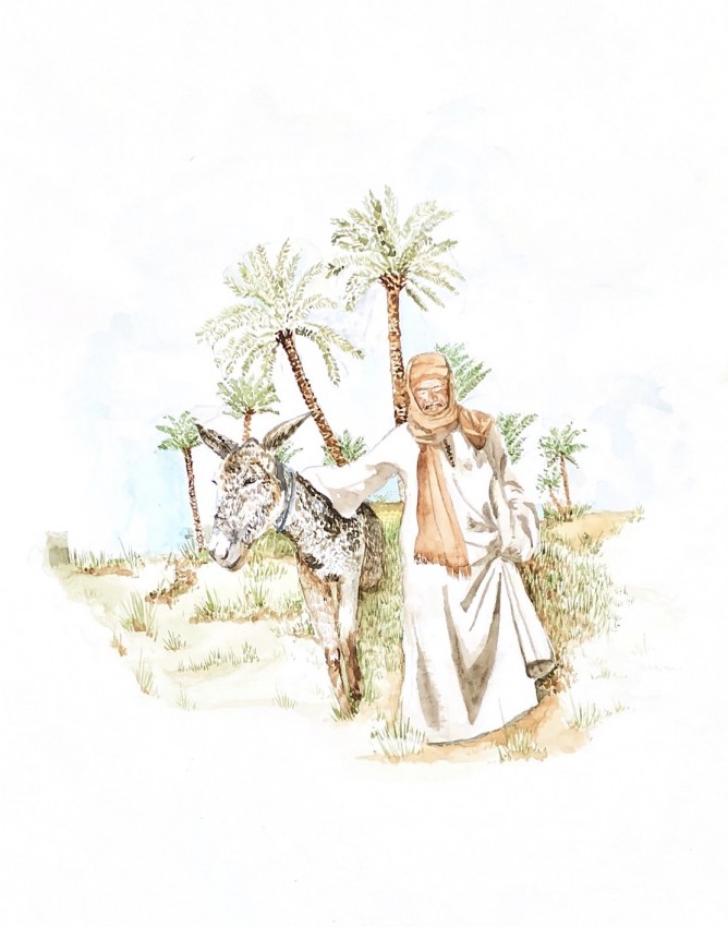 الفلاح