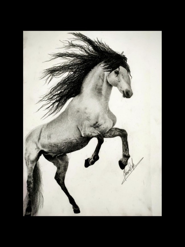 The Black Horse