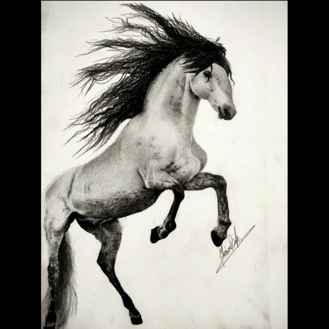 The Black Horse