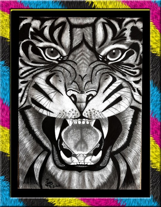 The Tiger