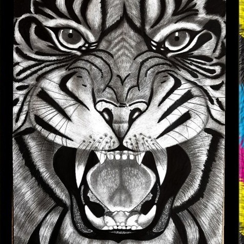 The Tiger
