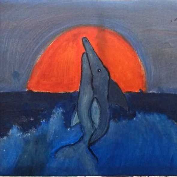 Dolphin jump at sunset