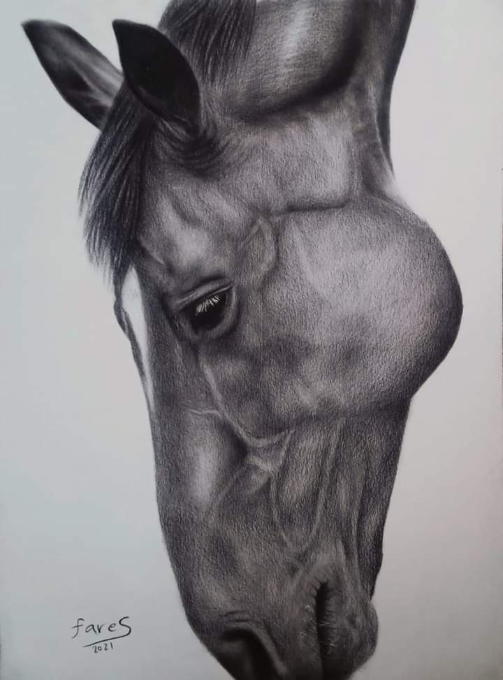 Horse