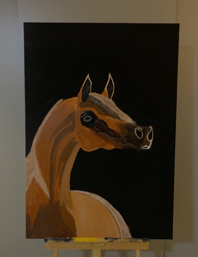 الخيل العربي الاصيل