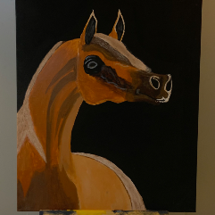 الخيل العربي الاصيل