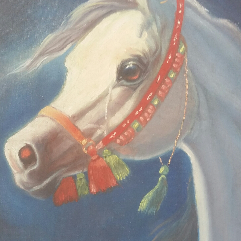 White Horse Portrait