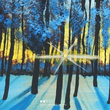 sunrise forest