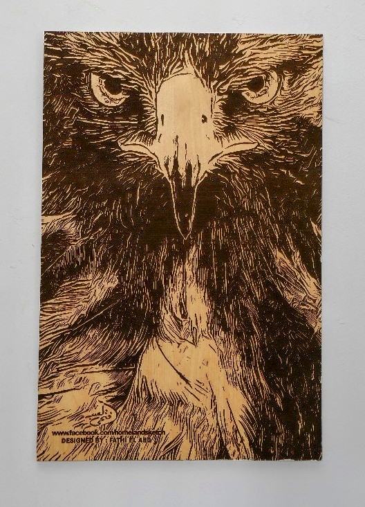 Eagle's Eyes