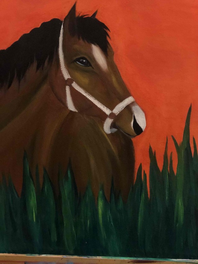 Horse