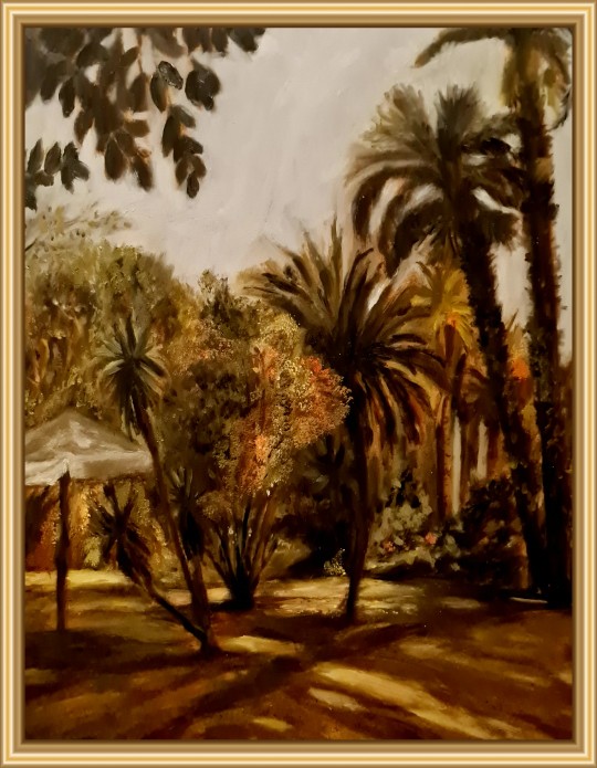 كادر من حديقة الاورمان