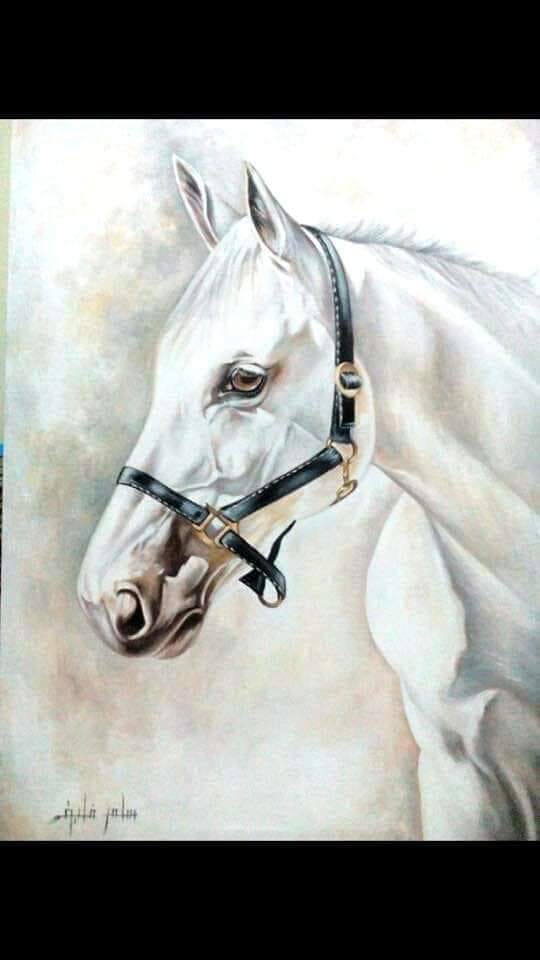 White Horse