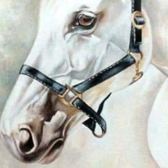 White Horse