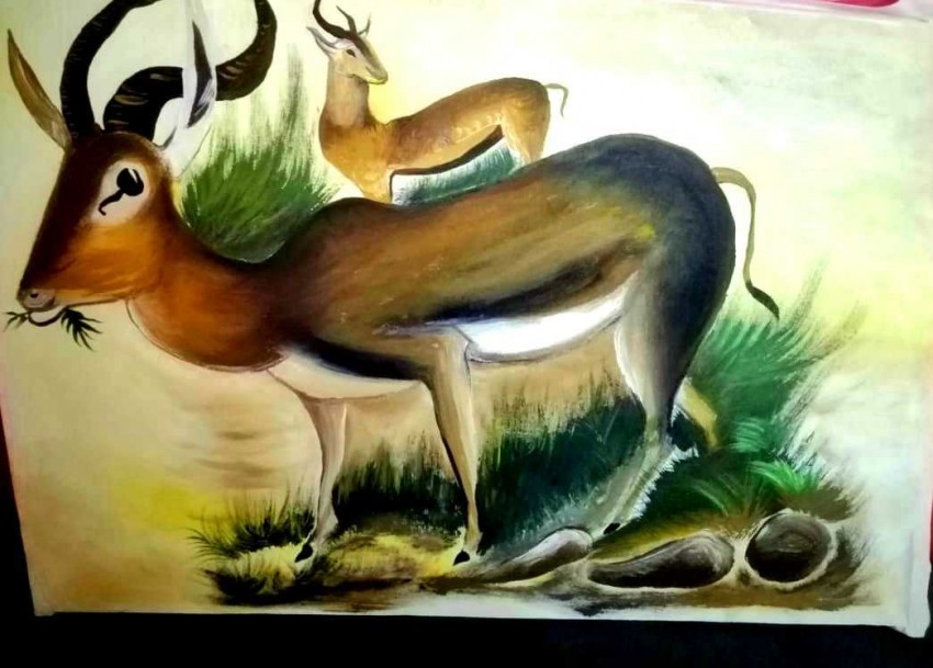 Deers