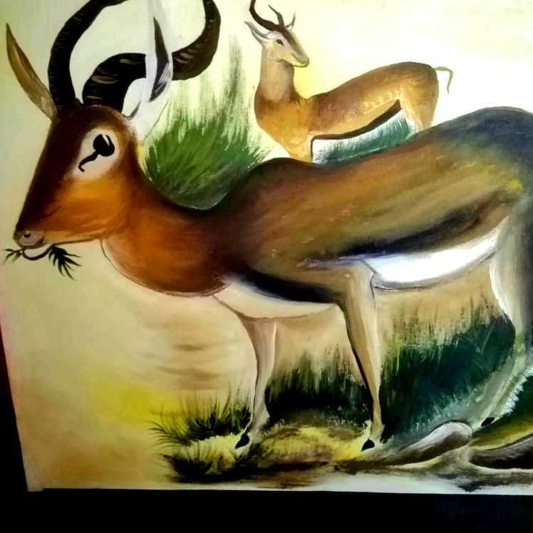 Deers