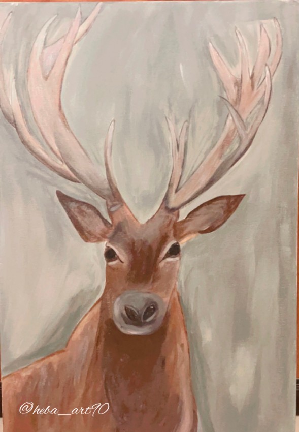 Wild Deer