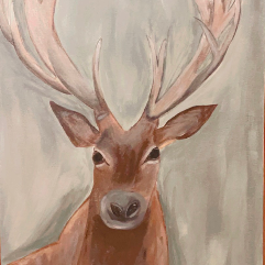 Wild Deer