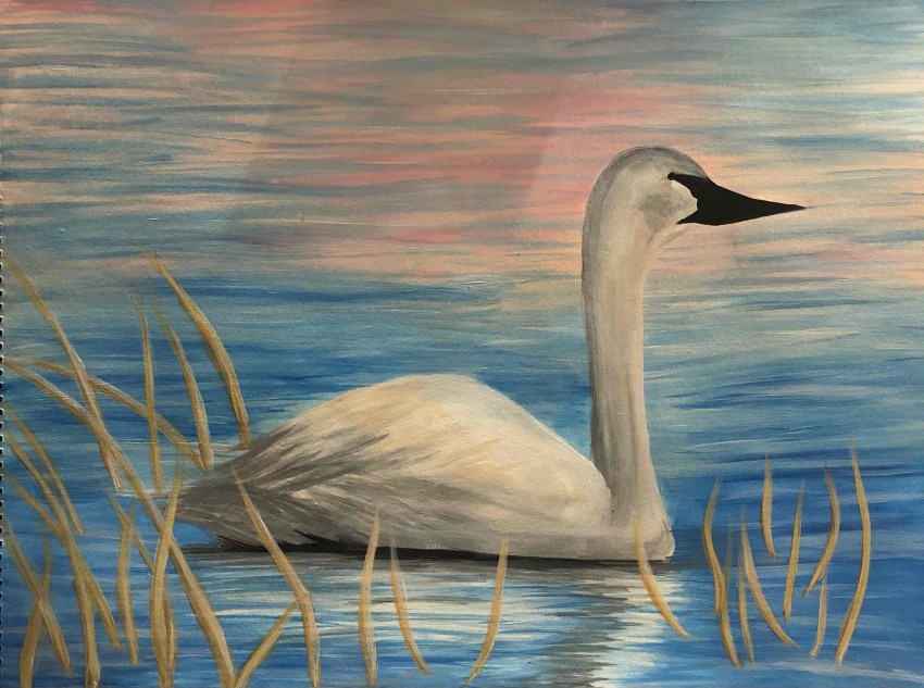 Goose