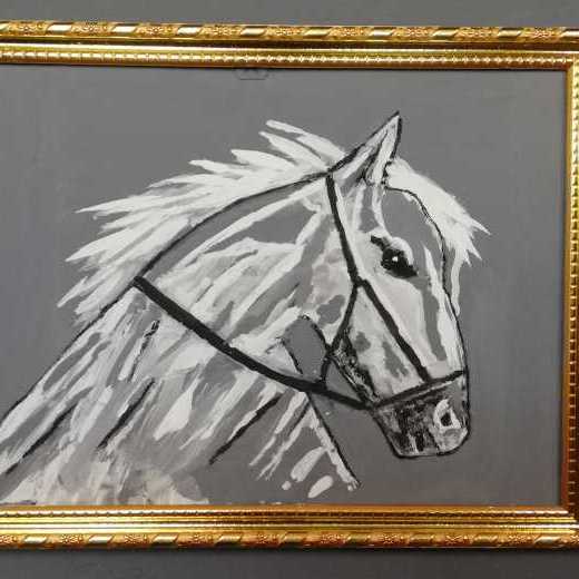Arabian Horse